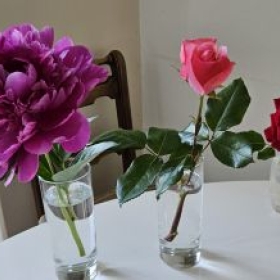 Blumen 2026-05-29 18.05.